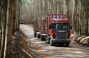 Scania представила новые лесовозы на выставке «Лесдревмаш»