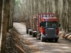 Scania представила новые лесовозы на выставке «Лесдревмаш»